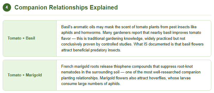 Sample companion relationship explanations from a planting plan